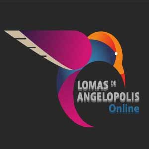 LDA Online