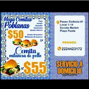 Megacemitas Poblanas