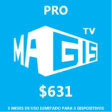 Profesional